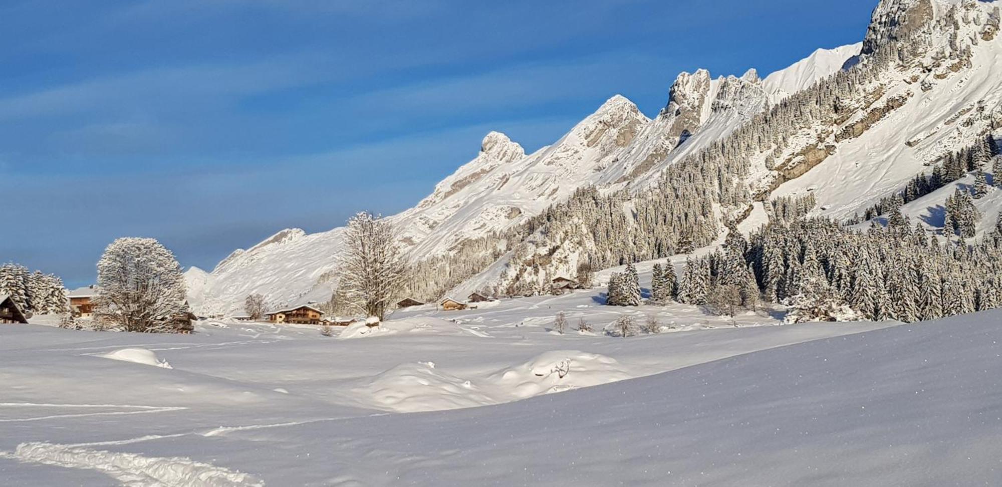 Appartement Cosy Face Aux Aravis Le Grand-Bornand Exterior photo